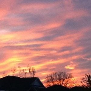 Meet your Posher, Abigail